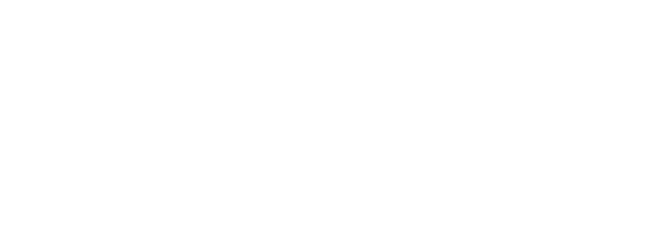 NachoAI